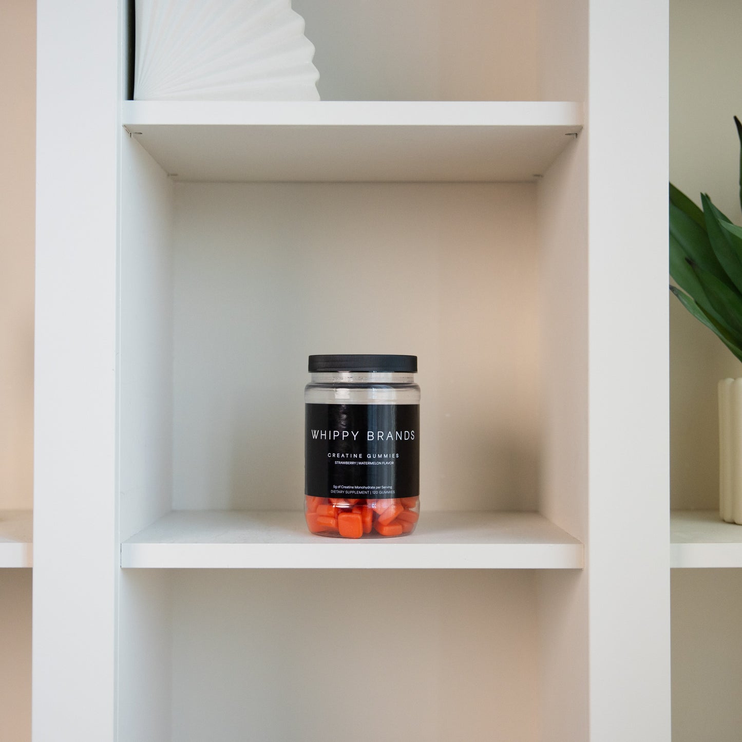 Creatine Gummies